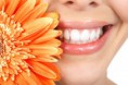 /album/fotos/fotolia-7578092-xs-jpg1/